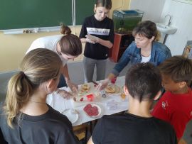 В МБОУ «Средняя общеобразовательная школа № 16» проведен мастер-класс по приготовлению закусочных канапе